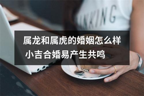 <h3>属龙和属虎的婚姻怎么样小吉合婚易产生共鸣
