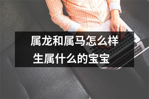 <h3>属龙和属马怎么样生属什么的宝宝