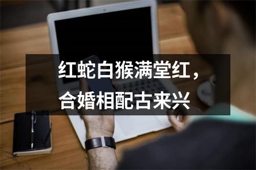 <h3>红蛇白猴满堂红，合婚相配古来兴