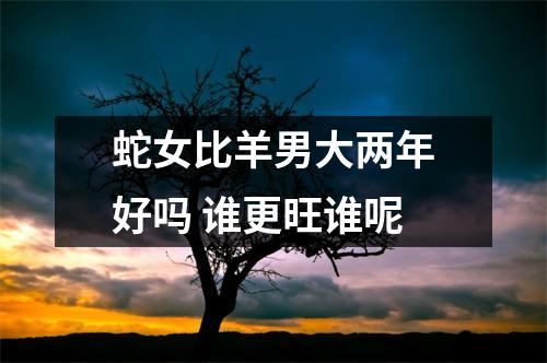 <h3>蛇女比羊男大两年好吗谁更旺谁呢