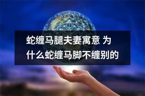 <h3>蛇缠马腿夫妻寓意为什么蛇缠马脚不缠别的