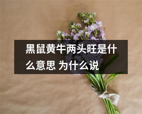 <h3>黑鼠黄牛两头旺是什么意思为什么说