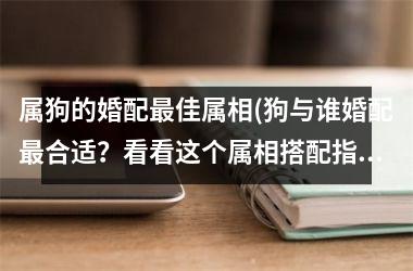 属狗的婚配佳属相(狗与谁婚配合适？看看这个属相搭配指南！)