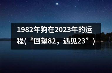 <h3>1982年狗在2025年的运程(“回望82，遇见23”)