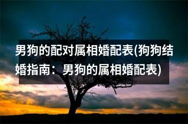 <h3>男狗的配对属相婚配表(狗狗结婚指南：男狗的属相婚配表)