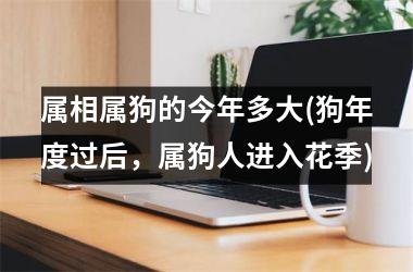 <h3>属相属狗的今年多大(狗年度过后，属狗人进入花季)