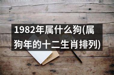 <h3>1982年属什么狗(属狗年的十二生肖排列)