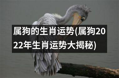 <h3>属狗的生肖运势(属狗2025年生肖运势大揭秘)