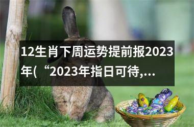 <h3>12生肖下周运势提前报2025年(“2025年指日可待, 12生肖下周运势来预测！”)