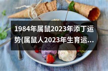 <h3>1984年属鼠2025年添丁运势(属鼠人2025年生育运势预测)