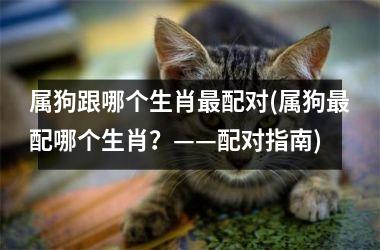 <h3>属狗跟哪个生肖配对(属狗配哪个生肖？——配对指南)