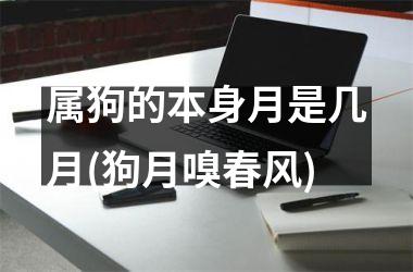<h3>属狗的本身月是几月(狗月嗅春风)