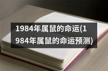 <h3>1984年属鼠的命运(1984年属鼠的命运预测)