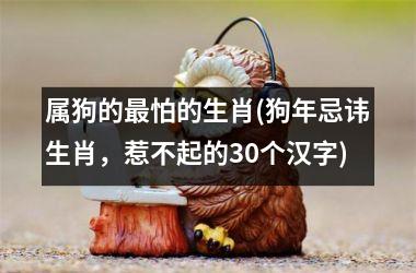 <h3>属狗的怕的生肖(狗年忌讳生肖，惹不起的30个汉字)