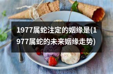 <h3>1977属蛇注定的姻缘是(1977属蛇的未来姻缘走势)