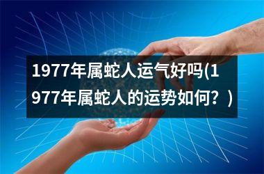 1977年属蛇人运气好吗(1977年属蛇人的运势如何？)