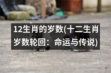 <h3>12生肖的岁数(十二生肖岁数轮回：命运与传说)
