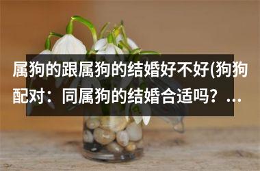 <h3>属狗的跟属狗的结婚好不好(狗狗配对：同属狗的结婚合适吗？)