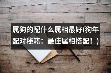 属狗的配什么属相好(狗年配对秘籍：佳属相搭配！)