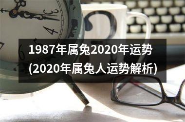 <h3>1987年属兔2025年运势(2025年属兔人运势解析)