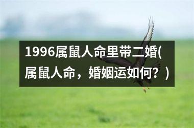 <h3>1996属鼠人命里带二婚(属鼠人命，婚姻运如何？)