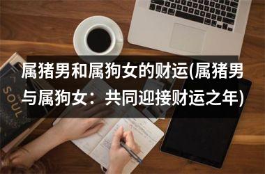 <h3>属猪男和属狗女的财运(属猪男与属狗女：共同迎接财运之年)