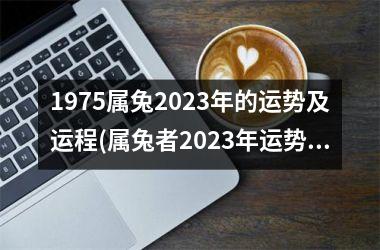 <h3>1975属兔2025年的运势及运程(属兔者2025年运势展望)