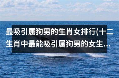 吸引属狗男的生肖女排行(十二生肖中能吸引属狗男的女生排行榜TOP10)