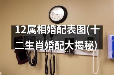 12属相婚配表图(十二生肖婚配大揭秘)