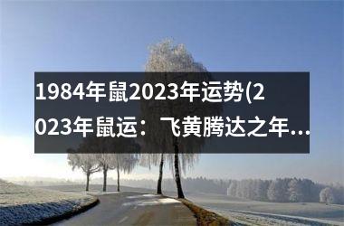<h3>1984年鼠2025年运势(2025年鼠运：飞黄腾达之年)