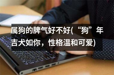 属狗的脾气好不好(“狗”年吉犬如你，性格温和可爱)