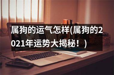 属狗的运气怎样(属狗的2025年运势大揭秘！)