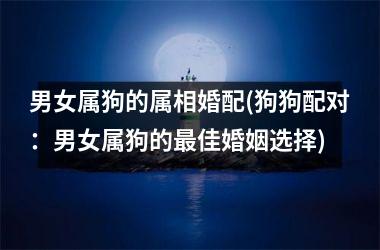 <h3>男女属狗的属相婚配(狗狗配对：男女属狗的佳婚姻选择)