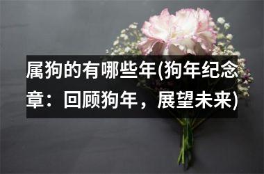 <h3>属狗的有哪些年(狗年纪念章：回顾狗年，展望未来)