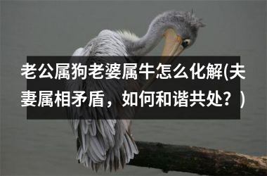 <h3>老公属狗老婆属牛怎么化解(夫妻属相矛盾，如何和谐共处？)