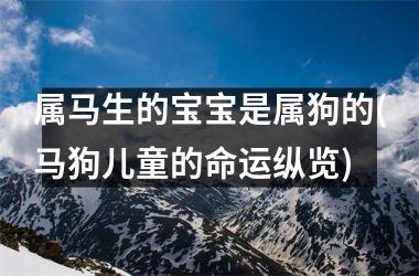 <h3>属马生的宝宝是属狗的(马狗儿童的命运纵览)