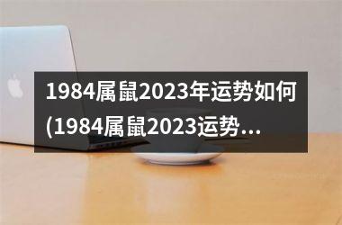 1984属鼠2025年运势如何(1984属鼠2025运势展望)