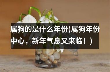 <h3>属狗的是什么年份(属狗年份中心，新年气息又来临！)