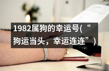 <h3>1982属狗的幸运号(“狗运当头，幸运连连”)