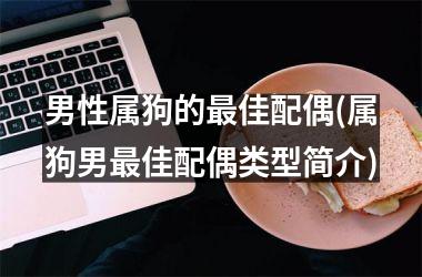 <h3>男性属狗的佳配偶(属狗男佳配偶类型简介)