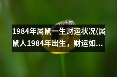 <h3>1984年属鼠一生财运状况(属鼠人1984年出生，财运如何？)
