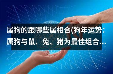 属狗的跟哪些属相合(狗年运势：属狗与鼠、兔、猪为佳组合)