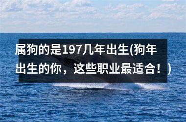 <h3>属狗的是197几年出生(狗年出生的你，这些职业适合！)