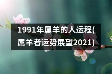 1991年属羊的人运程(属羊者运势展望2025)