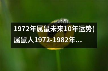 <h3>1972年属鼠未来10年运势(属鼠人1972-1982年运势预测)