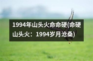 <h3>1994年山头火命命硬(命硬山头火：1994岁月沧桑)