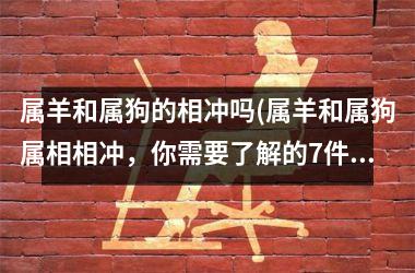 属羊和属狗的相冲吗(属羊和属狗属相相冲，你需要了解的7件事)