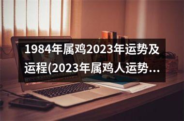 <h3>1984年属鸡2025年运势及运程(2025年属鸡人运势展望。)
