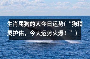 <h3>生肖属狗的人今日运势(“狗精灵护佑，今天运势火爆！”)
