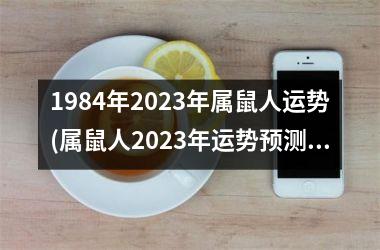 1984年2025年属鼠人运势(属鼠人2025年运势预测)